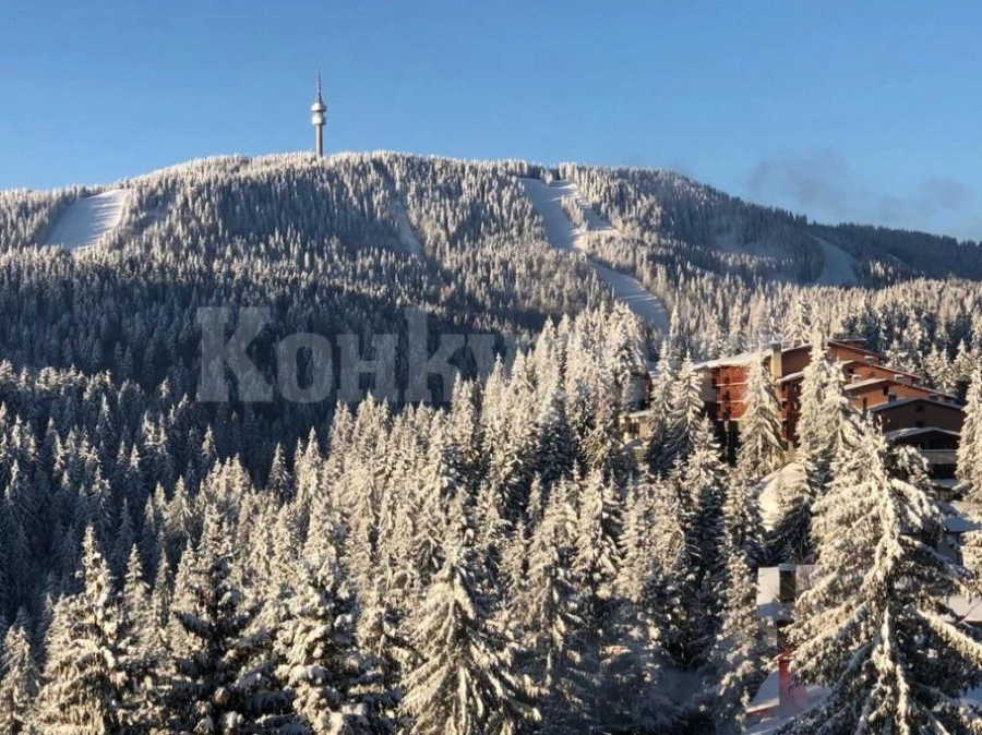 Повече родни туристи в зимните ни курорти
