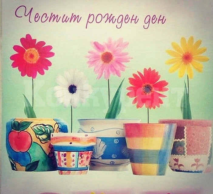 Център за обществена подкрепа - Берковица празнува своя четвърти рожден ден