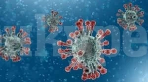 Италианец живее с трупа на сестра си, починала от коронавирус Видео (18+)
