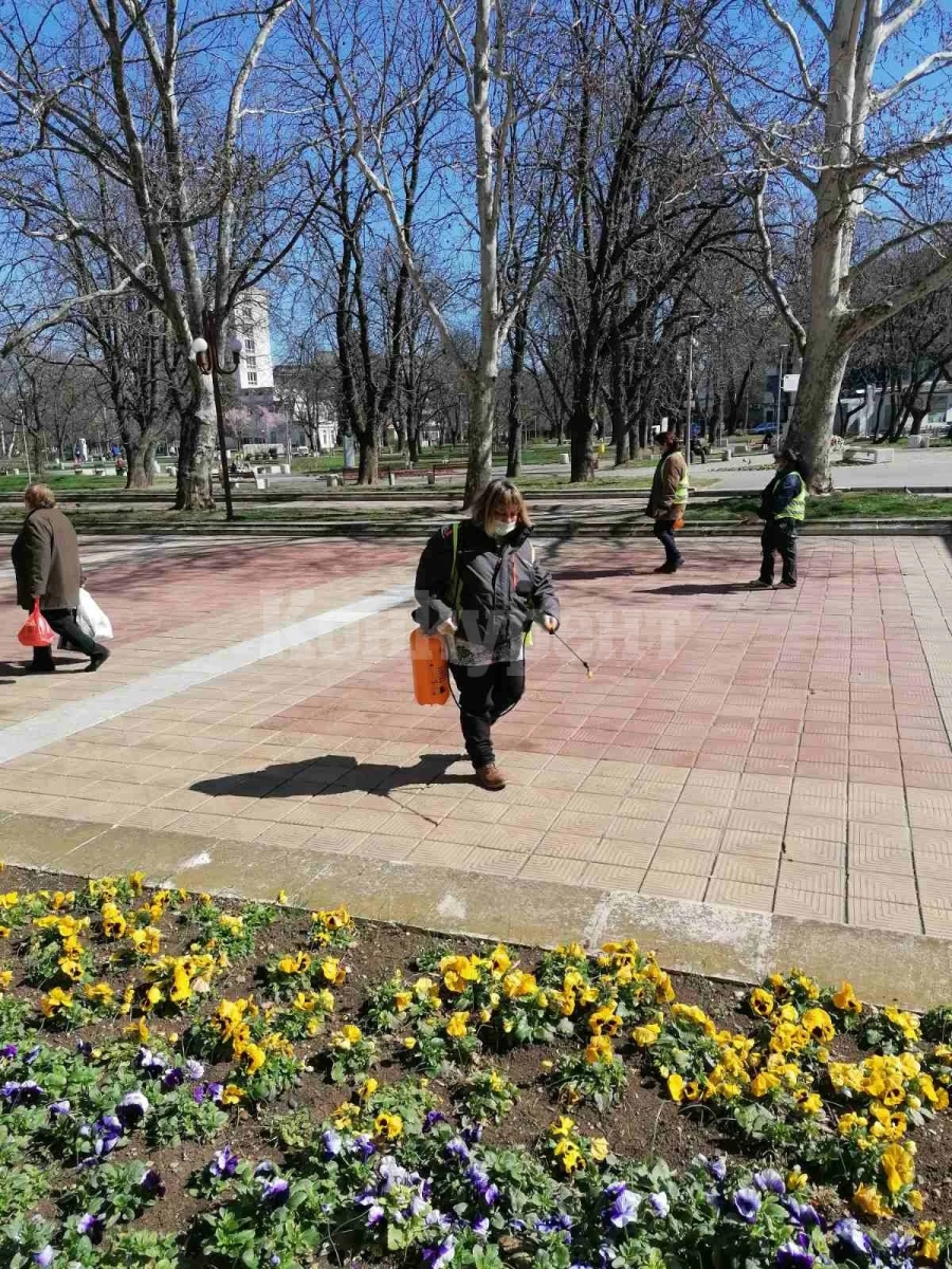Дезинфекцират площада в Монтана
