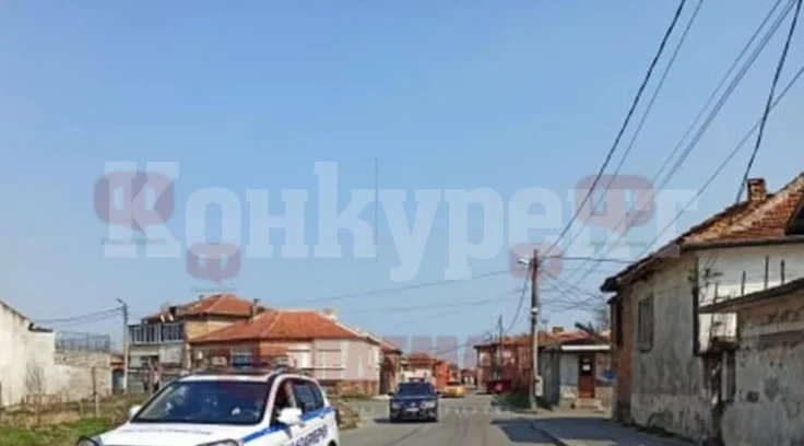 Четирима цигани, завърнали се от чужбина, нападнаха полицаи, но им свиха сърмите