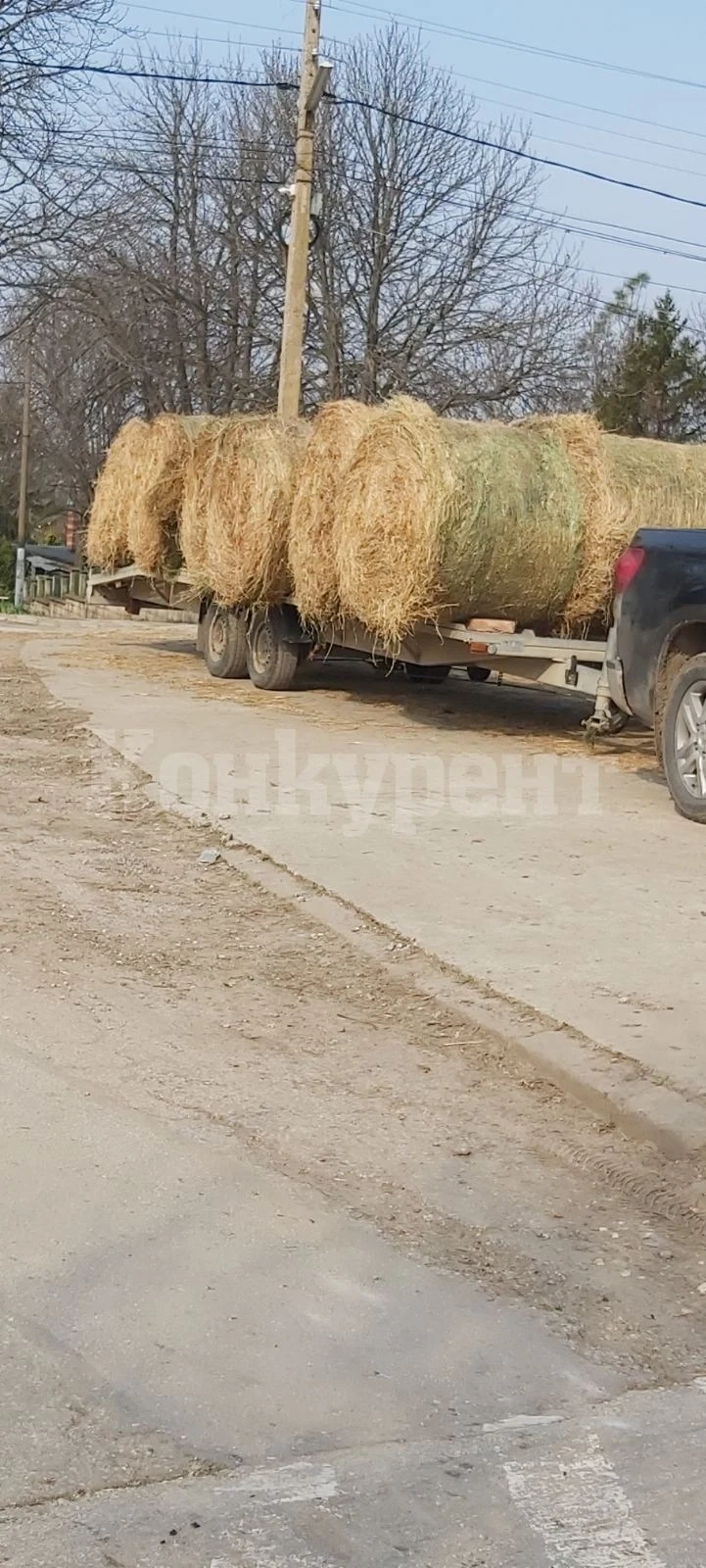 Чоков се пази от коронавируса… със слама СНИМКИ