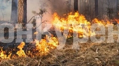 Сухи треви пламтели в неделя в Монтанско