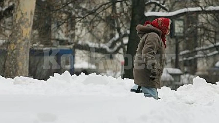 Община Лом търси доброволци