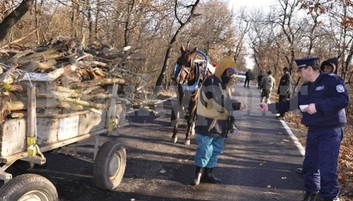 Глобиха двама с каруци пълни с незаконни дърва