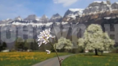 До 16 градуса днес, със значителна облачност