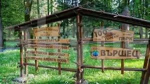 34 са под домашна карантина във Вършец, били в чужбина и се прибрали
