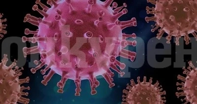 Потвърдените случаи на COVID-19 в България надминаха 500