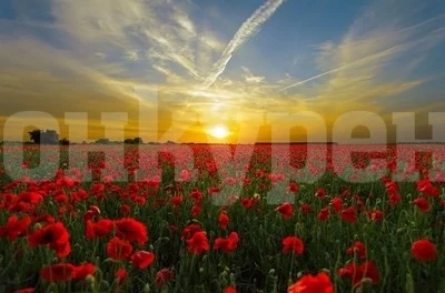 Утре ще е слънчево и с температури до 17 градуса