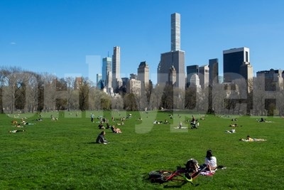 Ню Йорк може да организира временни погребения в градски паркове