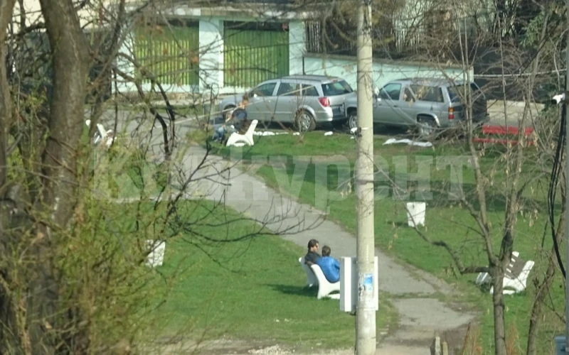 Удариха със солени глоби двама, разхождали се в парк във Видинско