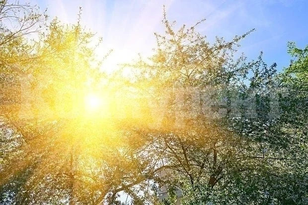 Днес, слънце и температури до 22 градуса