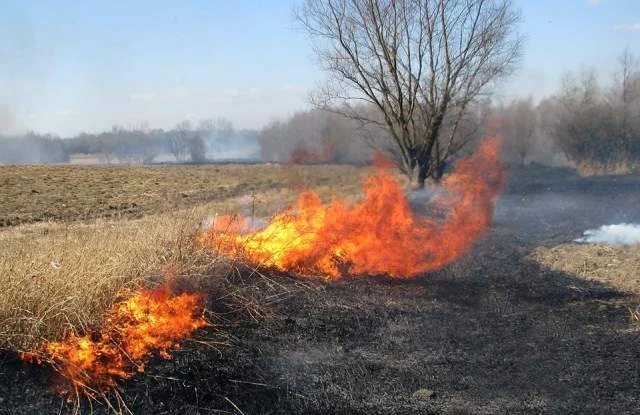 Огнеборците гасиха запалени сухи треви във Видинско
