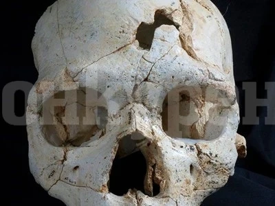 Разгадаха първото убийство в историята
