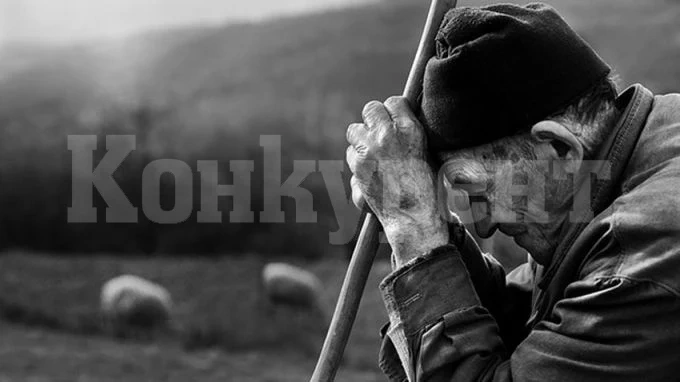 Стряскащи цифри! Ето с колко човека са намалели Враца, Видин и Монтана и къде смъртността е най-висока