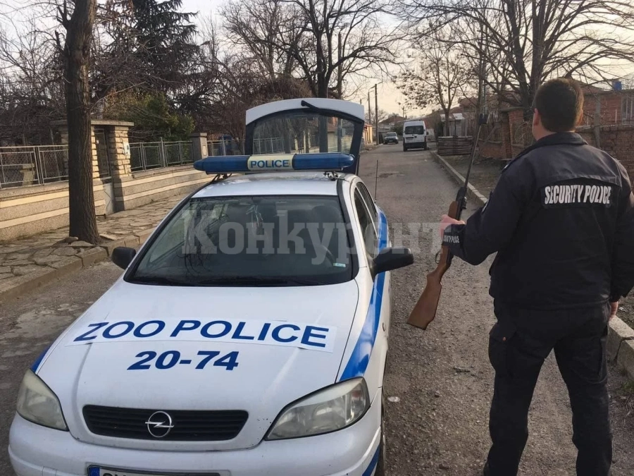 Обезумял младеж стреля на месо в Роман, уби едно куче и рани друго