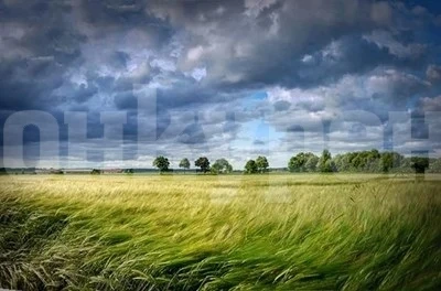 Днес ще е облачно и ветровито