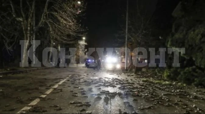 Какво се случва!? В цяла Европа от небето падат мъртви птици СНИМКИ