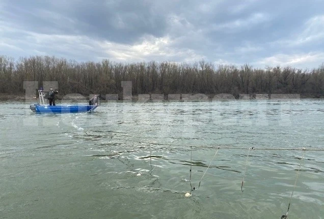 Извадиха 360 метра мрежи от водите на река Дунав
