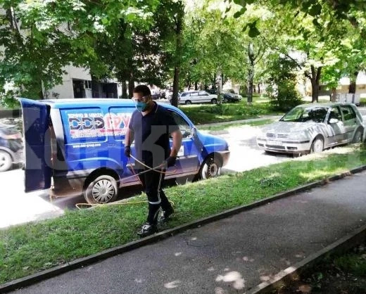 От понеделник започват да пръскат против бълхи и кърлежи във Враца