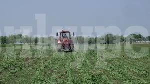 От Община Враца предупредиха за предстоящо пръскане