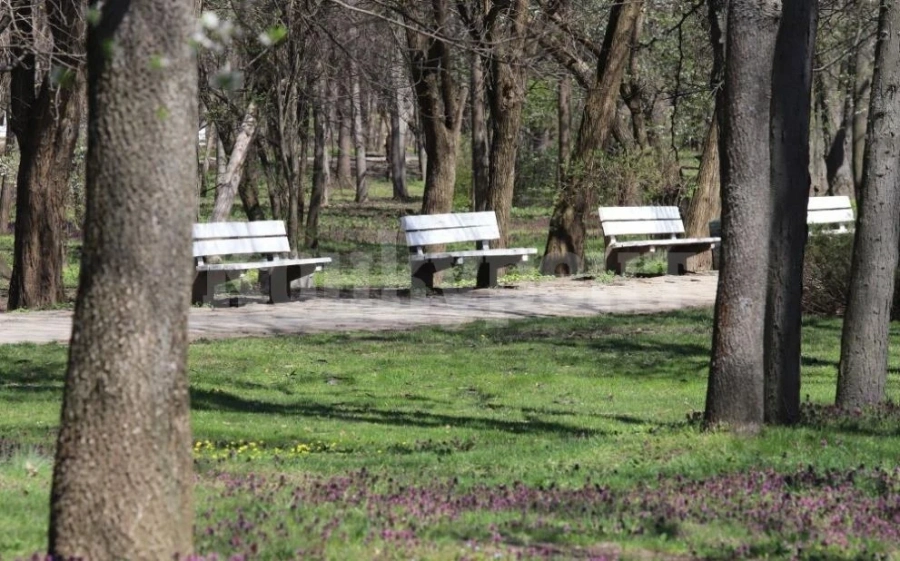 Отварят парковете за родители с малки деца