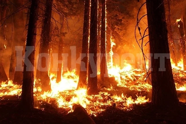 Огромни пожари горят в Сибир (Видео)