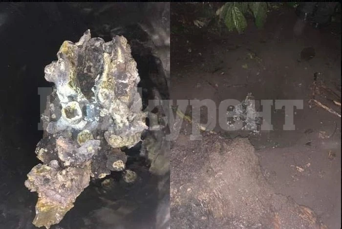 Много странен метеорит падна в Еквадор ВИДЕО