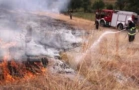 Гасиха пожари във Видинско