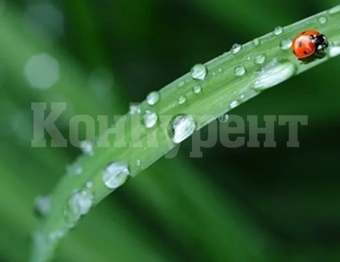Очакват ни валежи