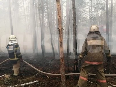 Спасители гасят отделни огнища на пожарите около Чернобил