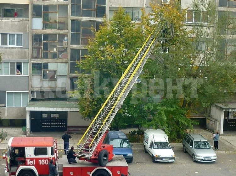 Добрият пример: Пожарникари спасиха коте, покатерило се на дърво