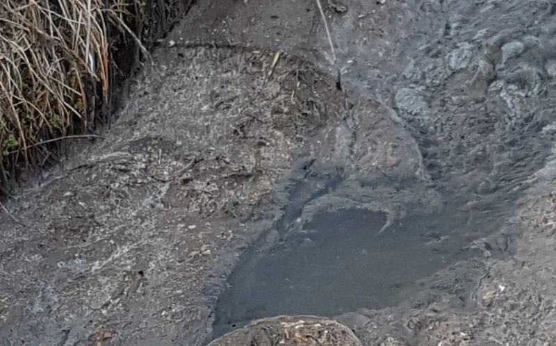 В Паволче изреваха: Замърсяват с фекалии дренажни води в селото