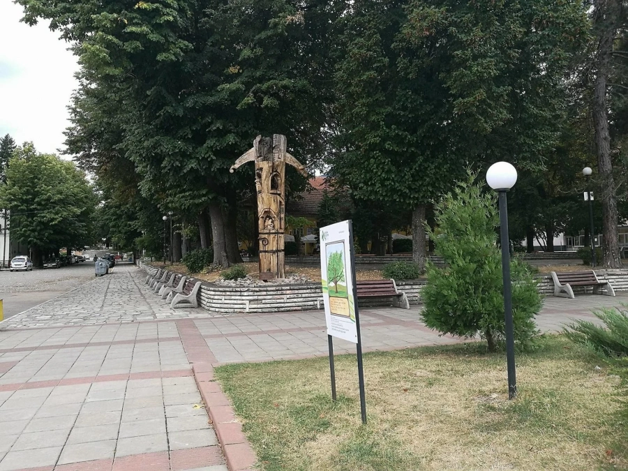 Берковица обяви ученически конкурс „Летене по Радичков”