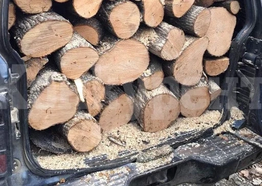 Наглец! Спряха „Шкода“ без номера, натъпкана с незаконни дърва