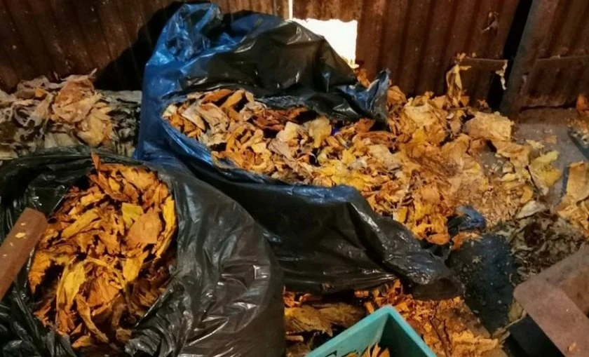 Удар на полицията! Откриха огромно количество незаконни цигари и тютюн при акция в Бяла Слатина