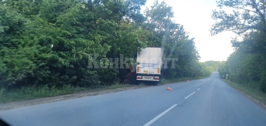 ТИР катастрофира и замалко не направи беля на Е-79 СНИМКИ