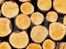 Спряха бракониер с нередовен товарен автомобил