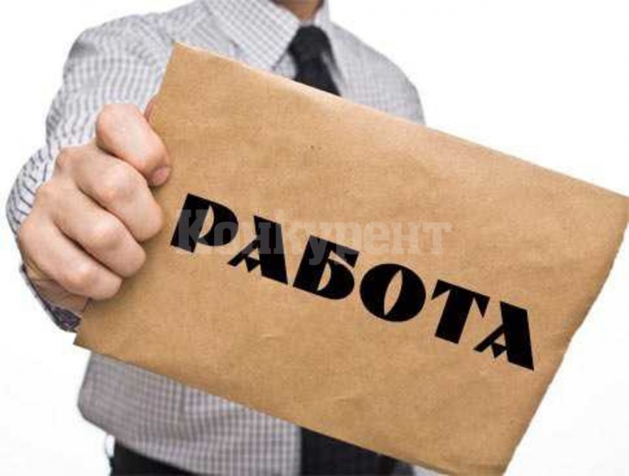 Вижте какви работници търсят врачанските шефове