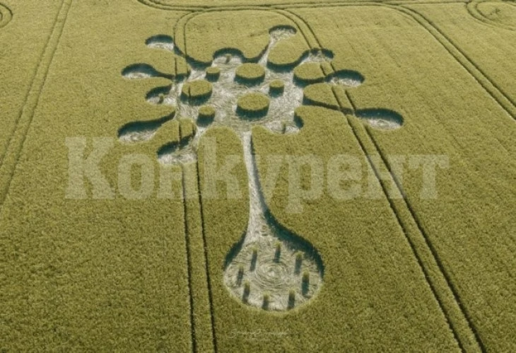 Коронавирусно съобщение от извънземни се появи на поле в Англия ВИДЕО