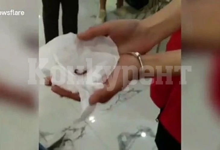 Началници наказаха служители да ядат живи червеи, защото... ВИДЕО