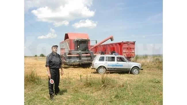 Жандармерия и полиция нагазиха в нивите