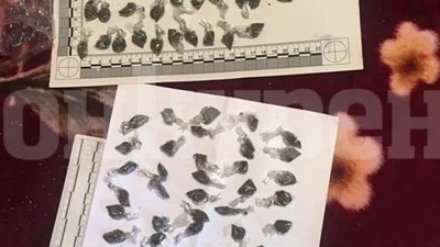 55-годишната дилърка Мос е задържана в „Столипиново“