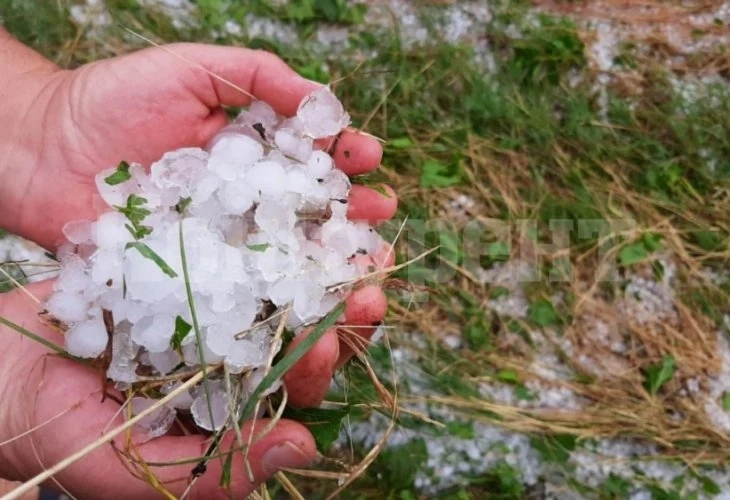 Градушка помля Добричко, хората си скубят косите СНИМКИ