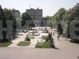 Пропищяха от вдовица в наш град, заграбила дори...
