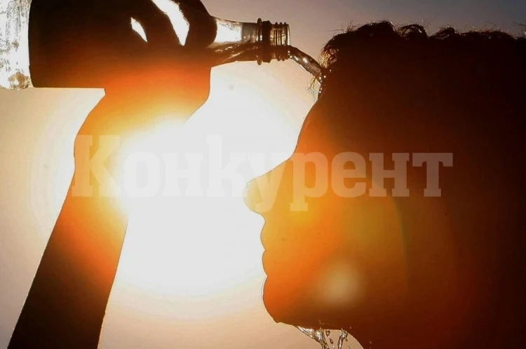 Диетолог разказа как да се храним в жегите