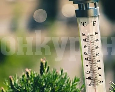Температурата в сибирски град достигна 38 градуса