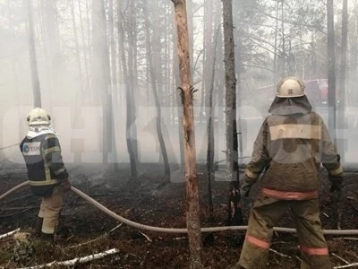 Пожар край Чернобил, горят около три хектара гори
