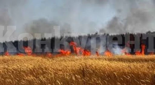 Пожар бушува в земеделски блок с ечемик