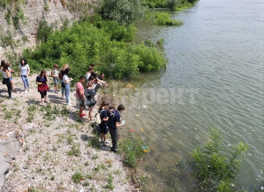 Лодки с послания плуват в река Дунав СНИМКИ